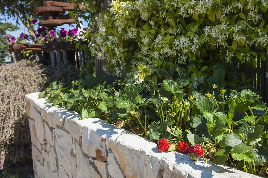 B&B Trulli Valle D'Itria Martina Franca Luaran gambar
